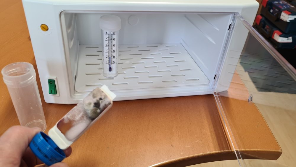 Schimmelpilzprobe und Wärmeschrank zur Kultivierung im eigenen Labor